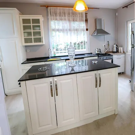 Denizci Villa Sapanca