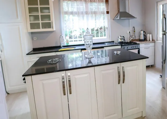 Denizci Vila Sapanca